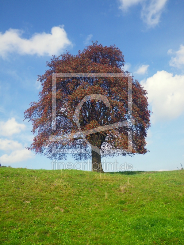 frei wählbarer Bildausschnitt für Ihr Bild auf Papier