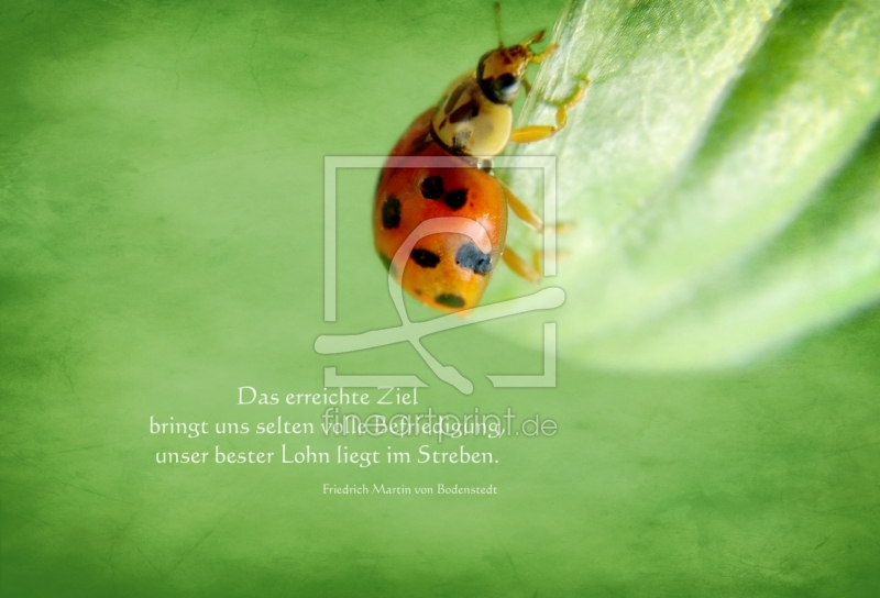 frei wählbarer Bildausschnitt für Ihr Bild auf Papier