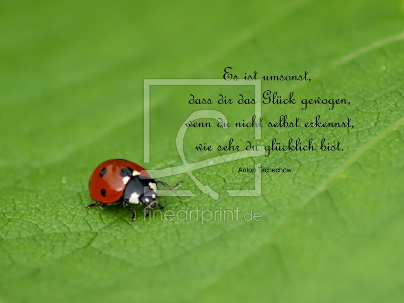 frei wählbarer Bildausschnitt für Ihr Bild auf Papier