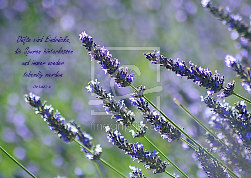 frei wählbarer Bildausschnitt für Ihr Bild auf Papier