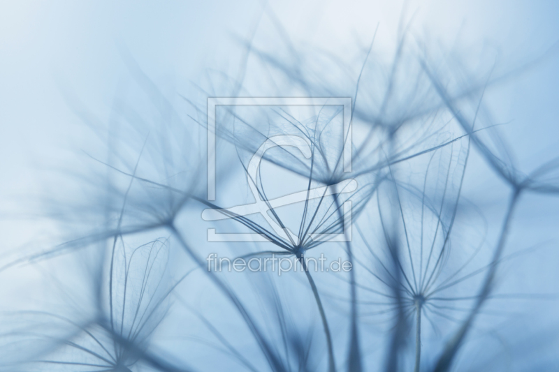 frei wählbarer Bildausschnitt für Ihr Bild auf Papier