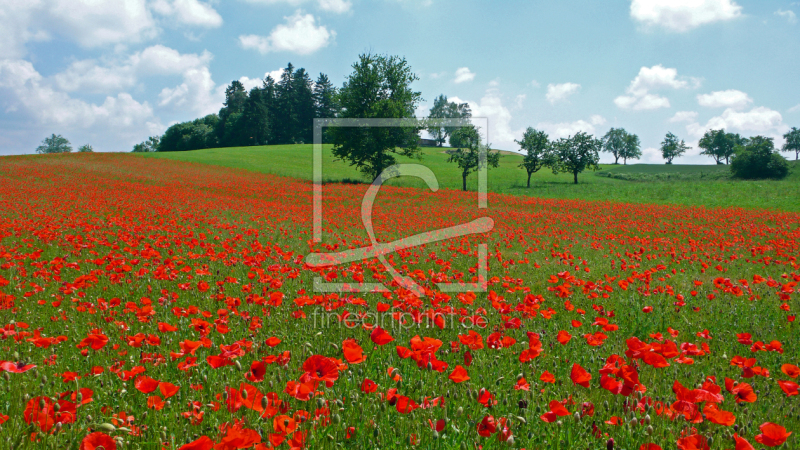 frei wählbarer Bildausschnitt für Ihr Bild auf Papier