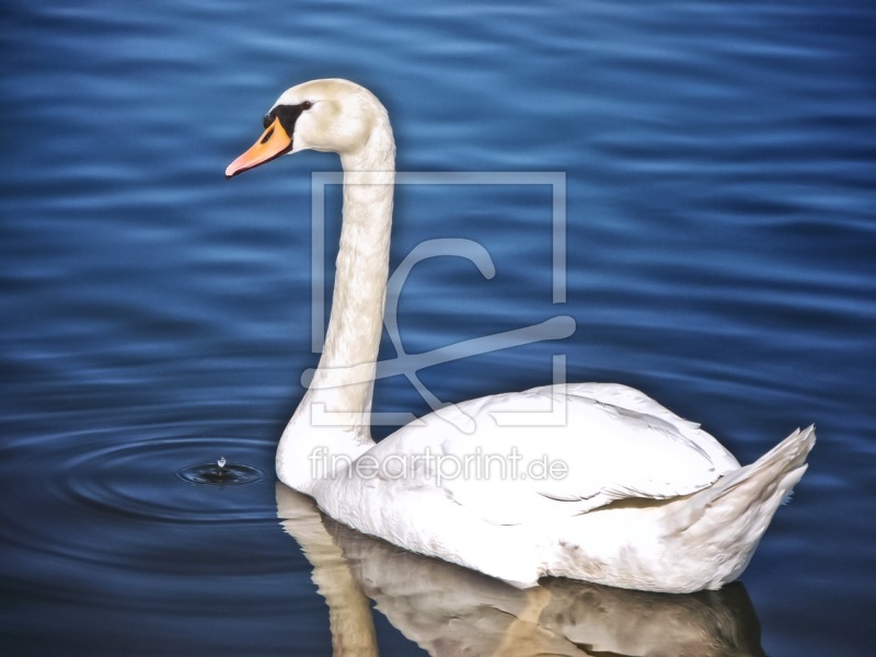 frei wählbarer Bildausschnitt für Ihr Bild auf Papier
