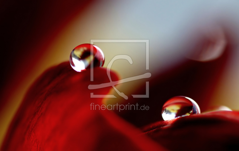 frei wählbarer Bildausschnitt für Ihr Bild auf Papier