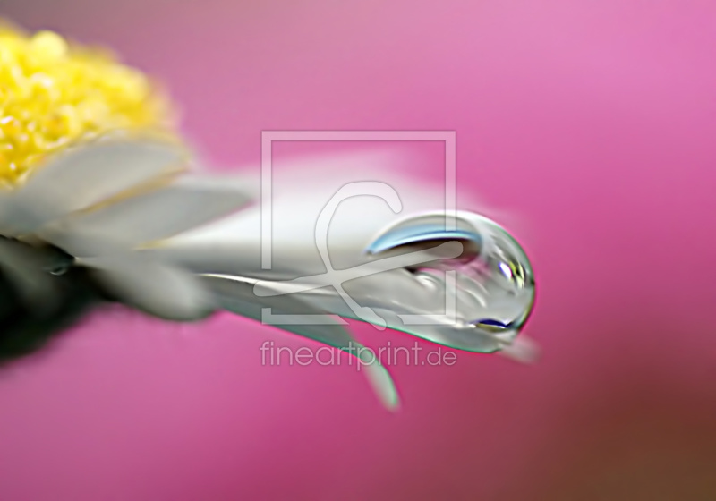 frei wählbarer Bildausschnitt für Ihr Bild auf Papier