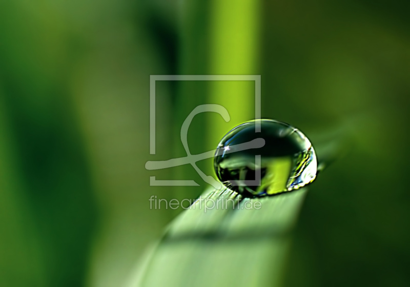 frei wählbarer Bildausschnitt für Ihr Bild auf Papier