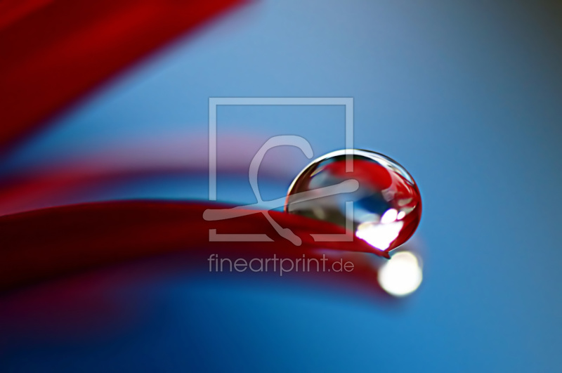 frei wählbarer Bildausschnitt für Ihr Bild auf Papier