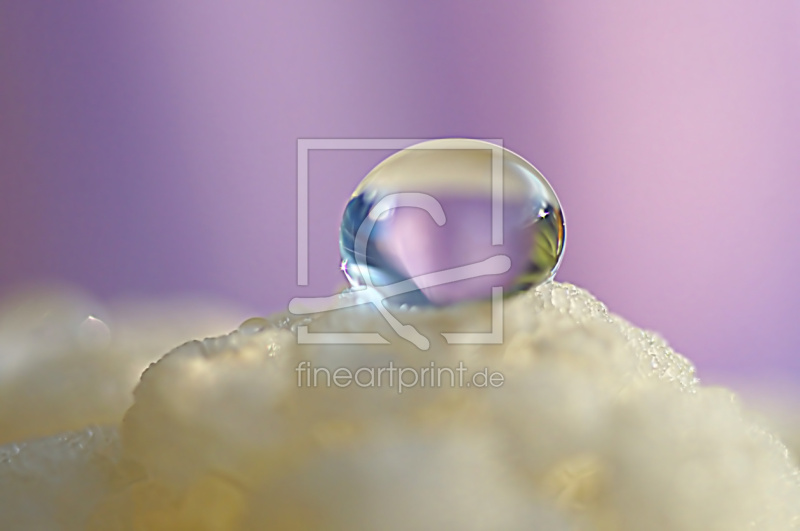 frei wählbarer Bildausschnitt für Ihr Bild auf Papier