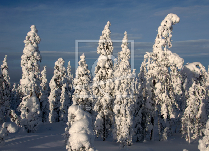 frei wählbarer Bildausschnitt für Ihr Bild auf Papier