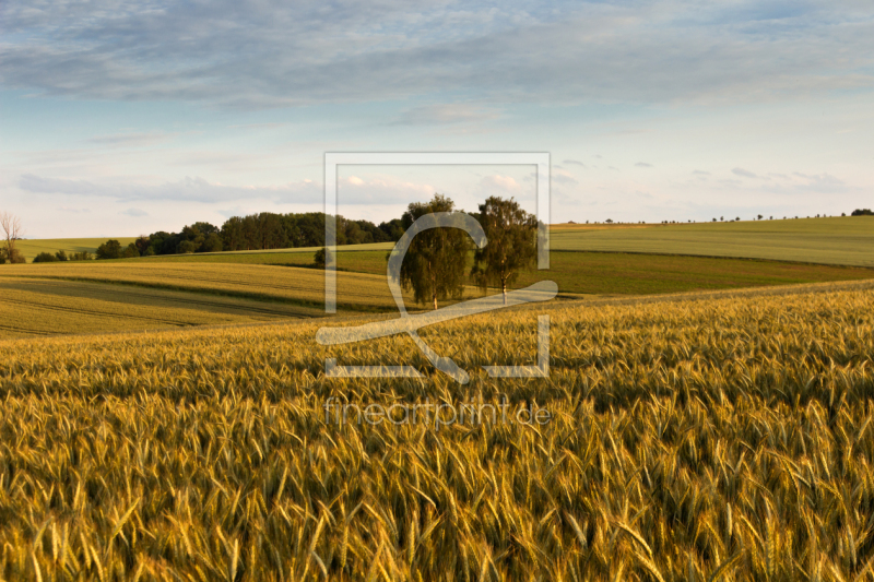 frei wählbarer Bildausschnitt für Ihr Bild auf Papier
