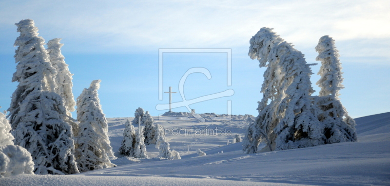 frei wählbarer Bildausschnitt für Ihr Bild auf Papier