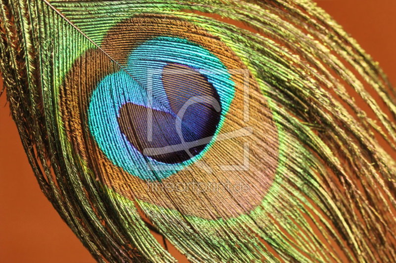 frei wählbarer Bildausschnitt für Ihr Bild auf Papier