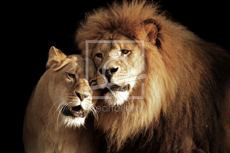 frei wählbarer Bildausschnitt für Ihr Bild auf Papier