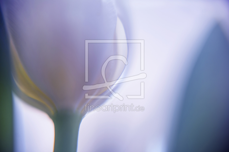 frei wählbarer Bildausschnitt für Ihr Bild auf Papier