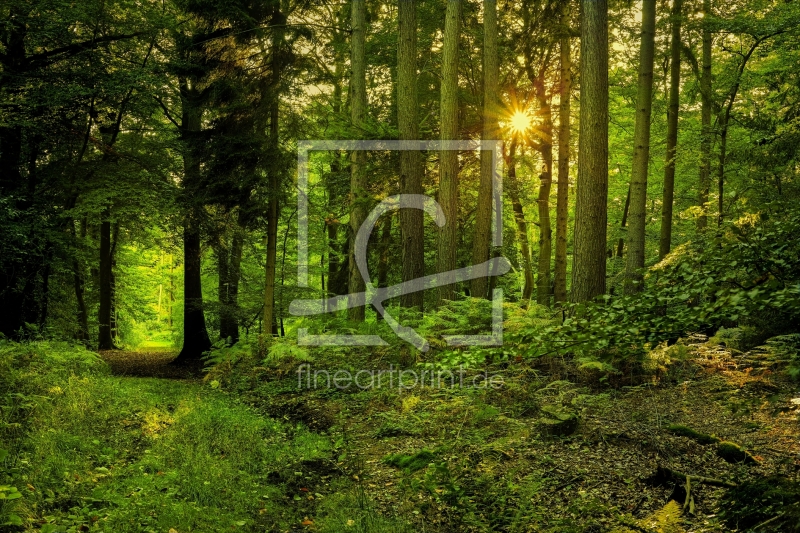 frei wählbarer Bildausschnitt für Ihr Bild auf Papier