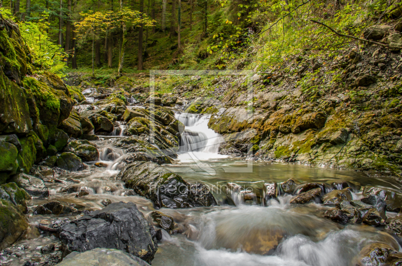 frei wählbarer Bildausschnitt für Ihr Bild auf Papier
