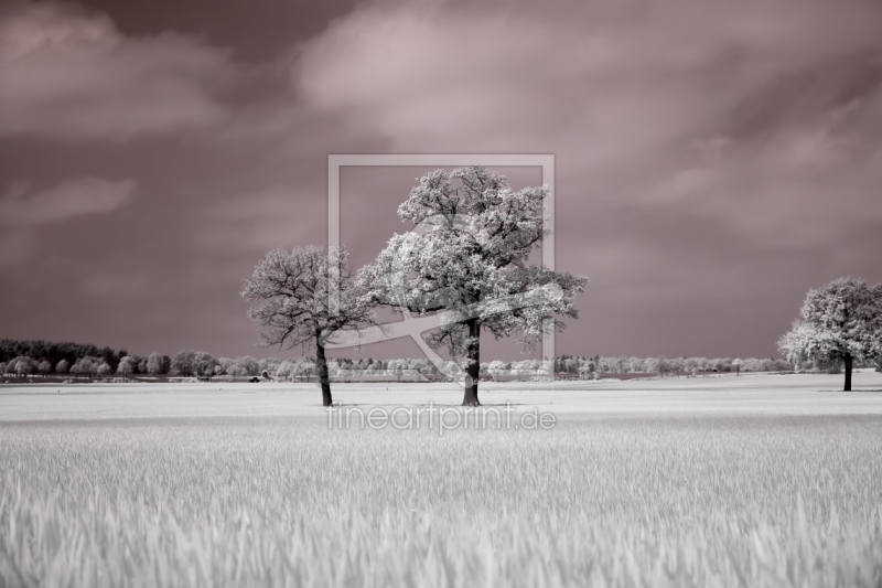 frei wählbarer Bildausschnitt für Ihr Bild auf Papier