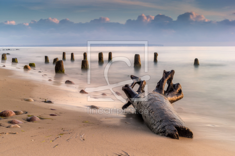 frei wählbarer Bildausschnitt für Ihr Bild auf Papier