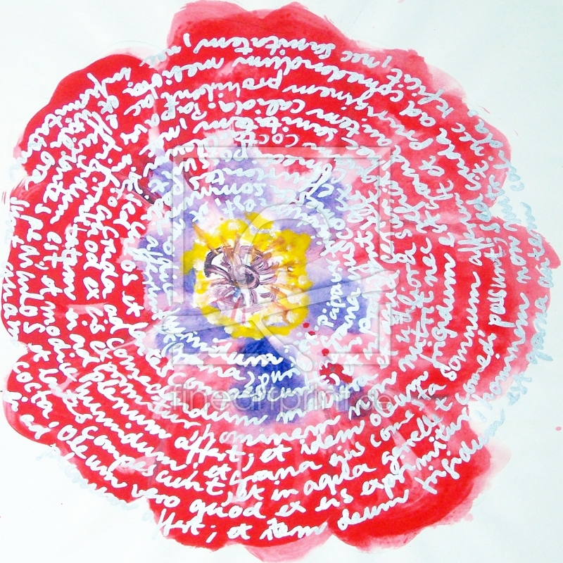 frei wählbarer Bildausschnitt für Ihr Bild auf Papier