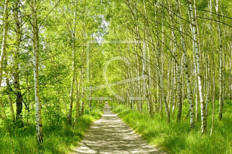 frei wählbarer Bildausschnitt für Ihr Bild auf Papier