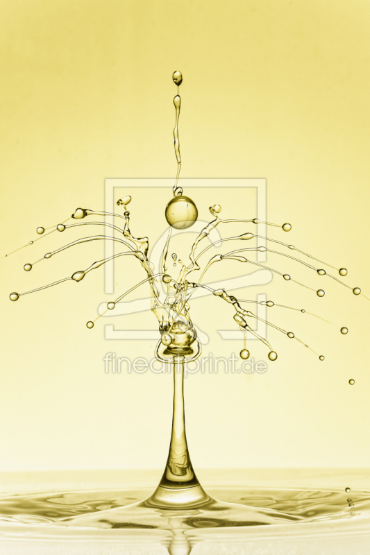 frei wählbarer Bildausschnitt für Ihr Bild auf Papier