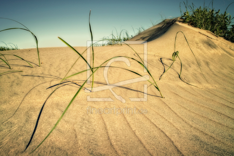 frei wählbarer Bildausschnitt für Ihr Bild auf Papier