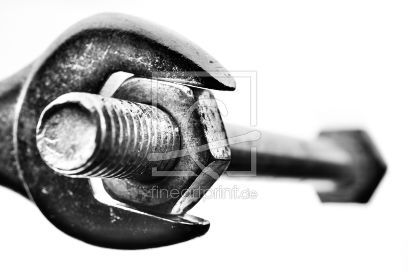 frei wählbarer Bildausschnitt für Ihr Bild auf Papier