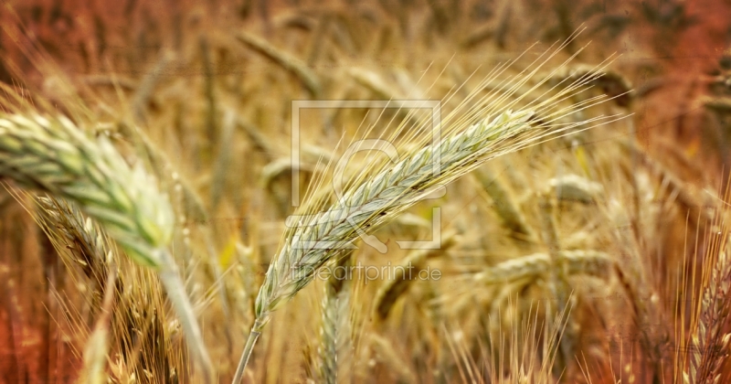 frei wählbarer Bildausschnitt für Ihr Bild auf Papier