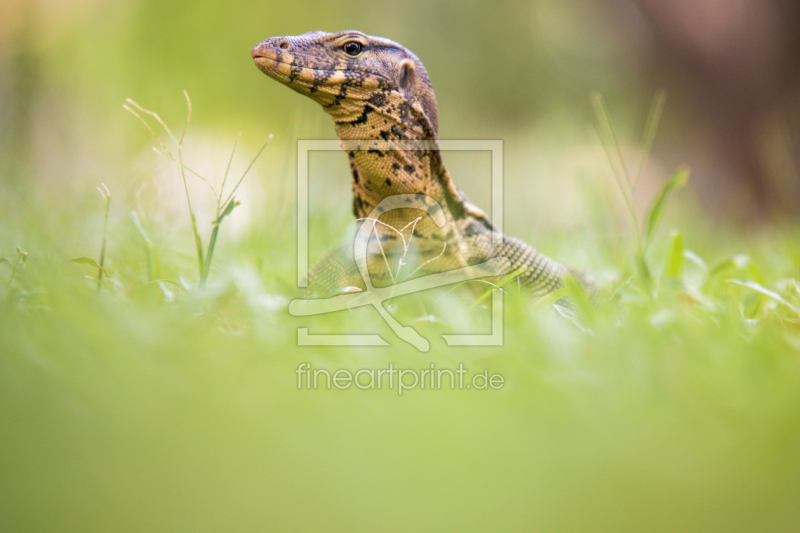 frei wählbarer Bildausschnitt für Ihr Bild auf Papier