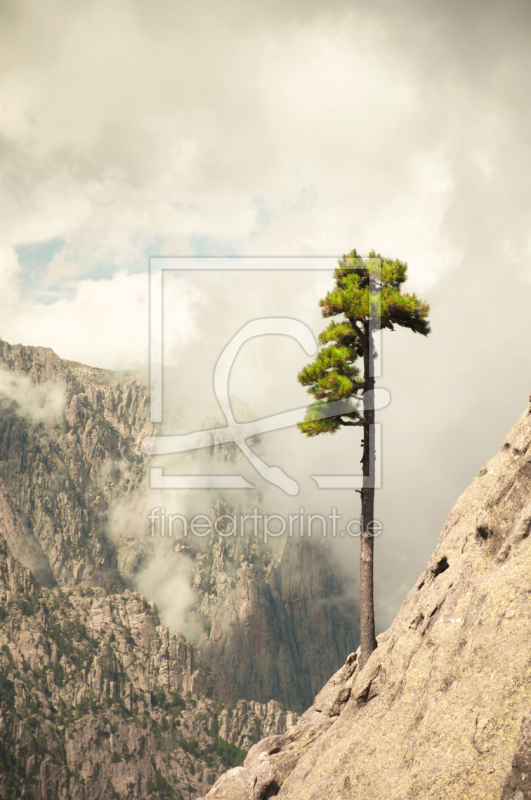 frei wählbarer Bildausschnitt für Ihr Bild auf Papier