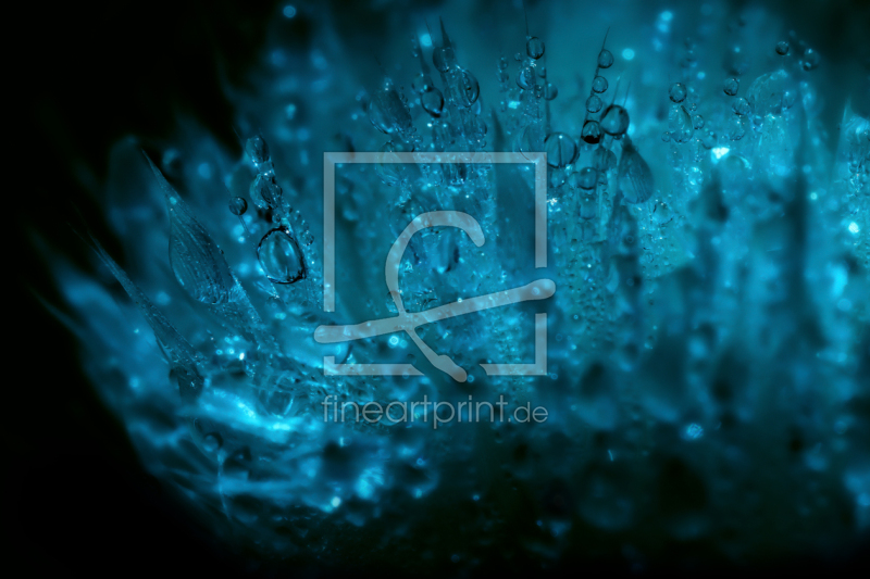 frei wählbarer Bildausschnitt für Ihr Bild auf Papier