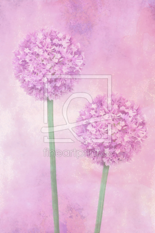 frei wählbarer Bildausschnitt für Ihr Bild auf Papier