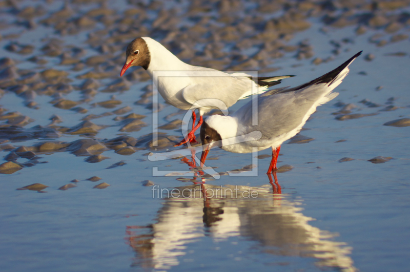 frei wählbarer Bildausschnitt für Ihr Bild auf Papier