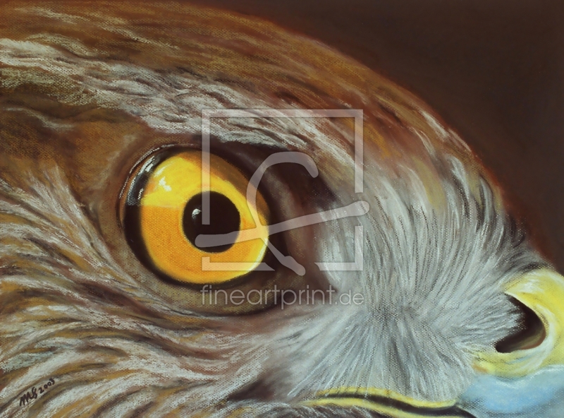 frei wählbarer Bildausschnitt für Ihr Bild auf Papier