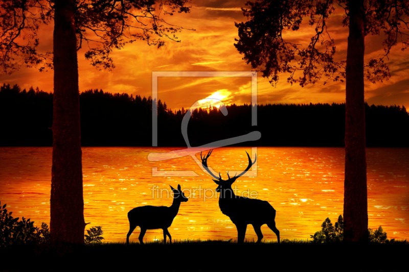 frei wählbarer Bildausschnitt für Ihr Bild auf Papier