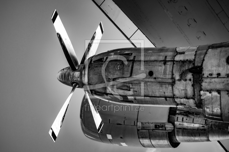 frei wählbarer Bildausschnitt für Ihr Bild auf Papier