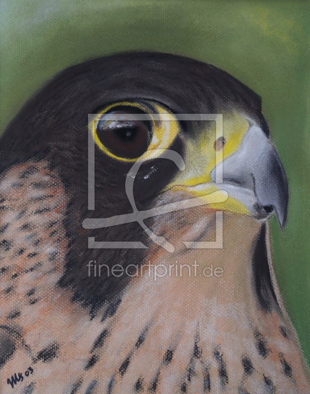 frei wählbarer Bildausschnitt für Ihr Bild auf Papier