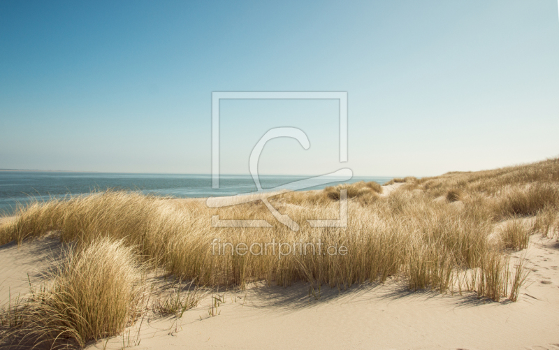 frei wählbarer Bildausschnitt für Ihr Bild auf Papier