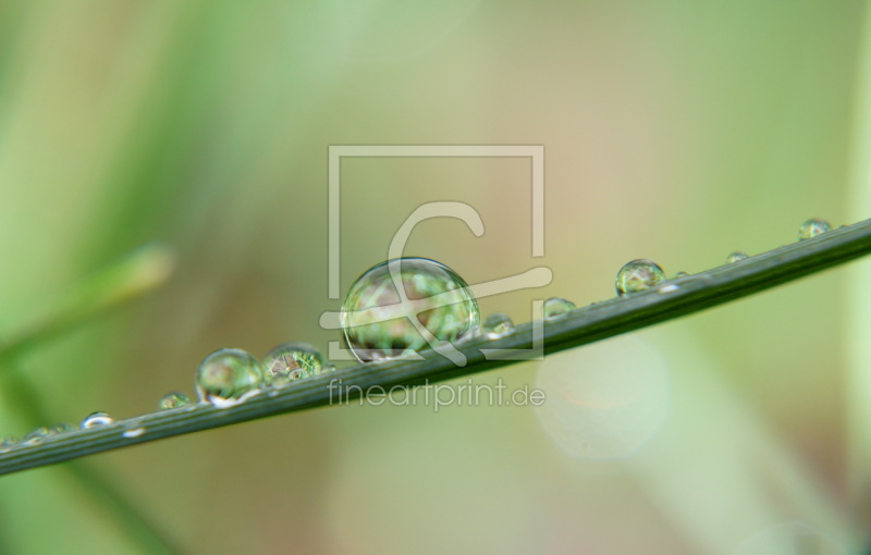 frei wählbarer Bildausschnitt für Ihr Bild auf Papier