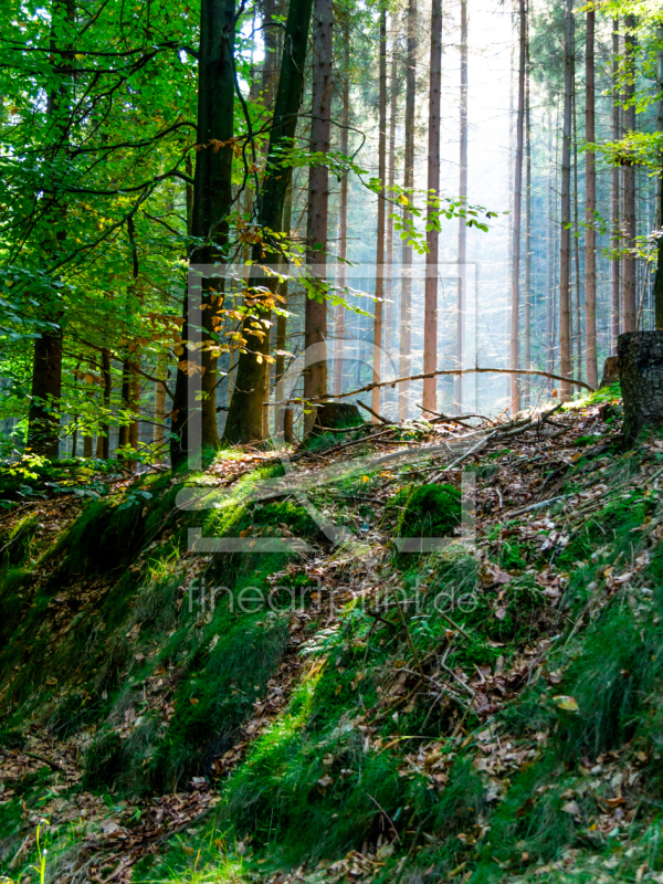 frei wählbarer Bildausschnitt für Ihr Bild auf Papier