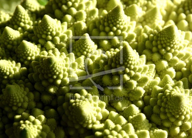 frei wählbarer Bildausschnitt für Ihr Bild auf Papier