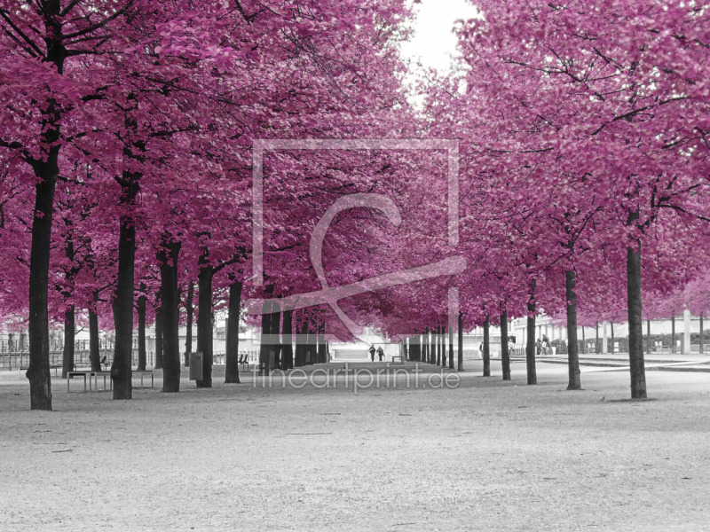 frei wählbarer Bildausschnitt für Ihr Bild auf Papier