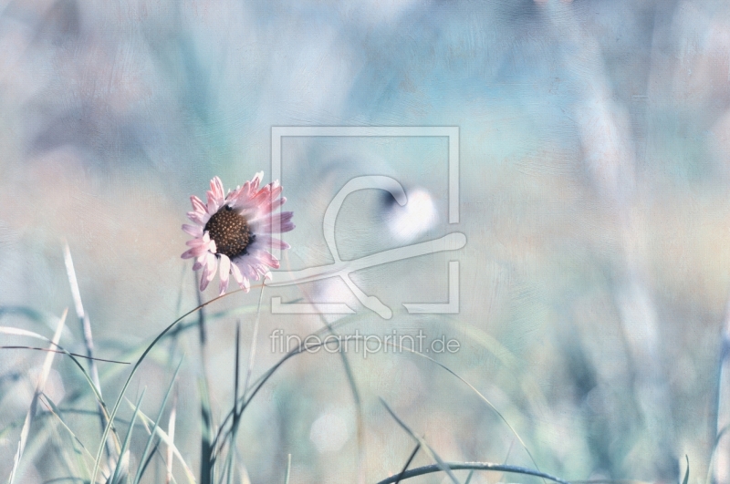 frei wählbarer Bildausschnitt für Ihr Bild auf Papier