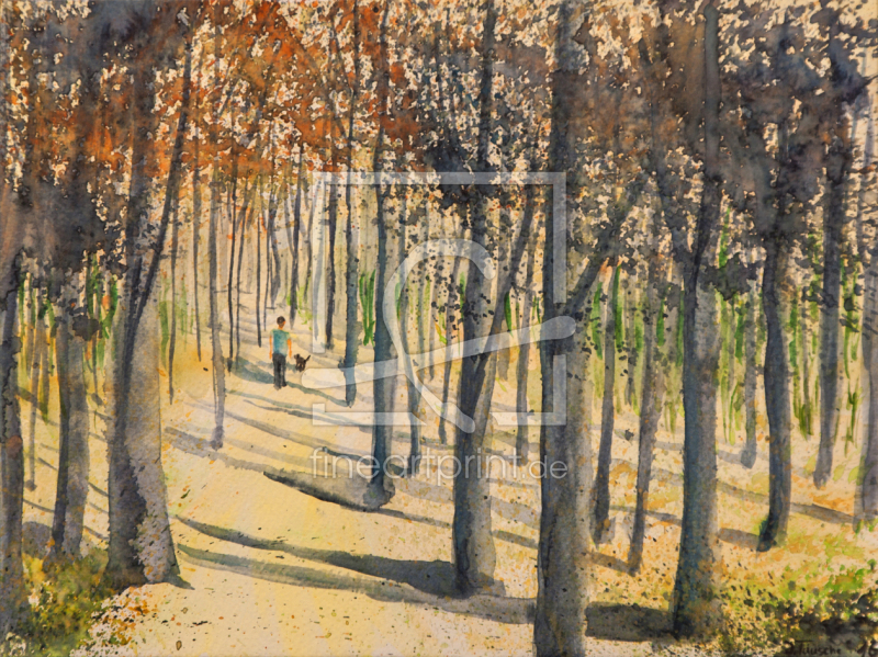 frei wählbarer Bildausschnitt für Ihr Bild auf Papier