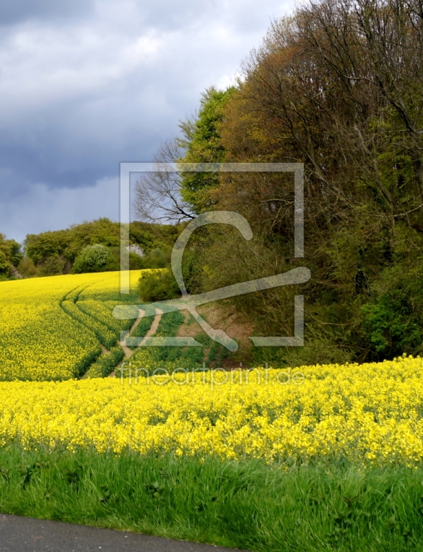 frei wählbarer Bildausschnitt für Ihr Bild auf Papier