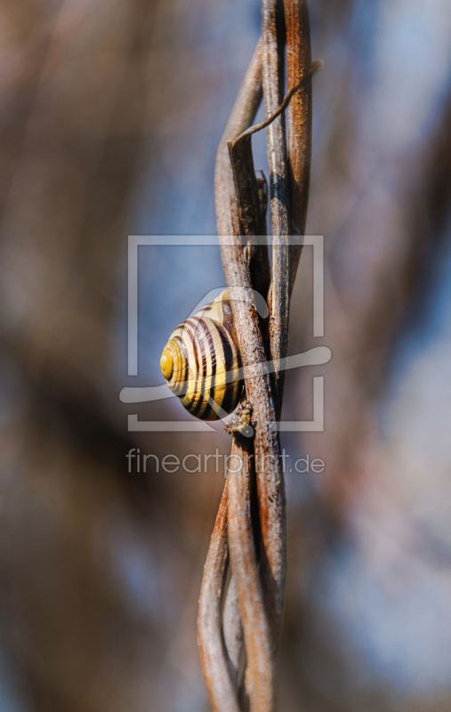 frei wählbarer Bildausschnitt für Ihr Bild auf Papier