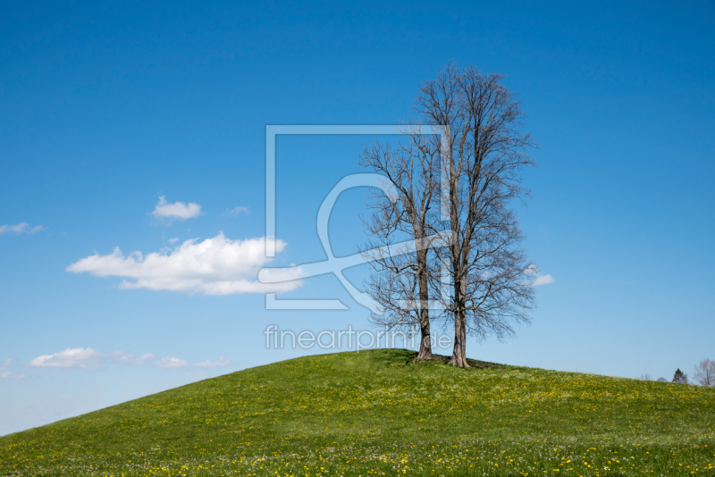 frei wählbarer Bildausschnitt für Ihr Bild auf Papier