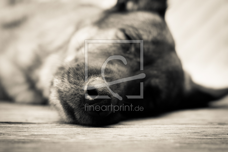 frei wählbarer Bildausschnitt für Ihr Bild auf Papier