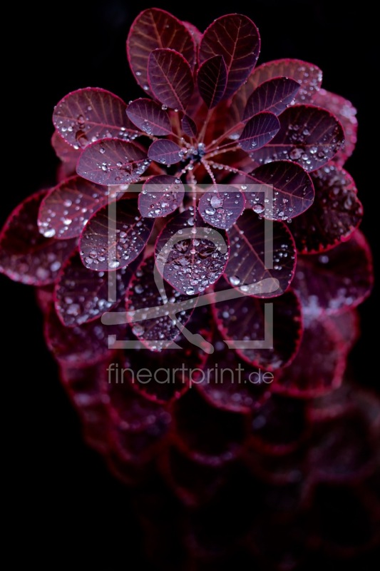 frei wählbarer Bildausschnitt für Ihr Bild auf Papier