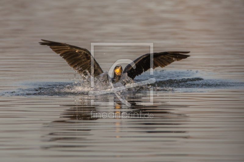 frei wählbarer Bildausschnitt für Ihr Bild auf Papier